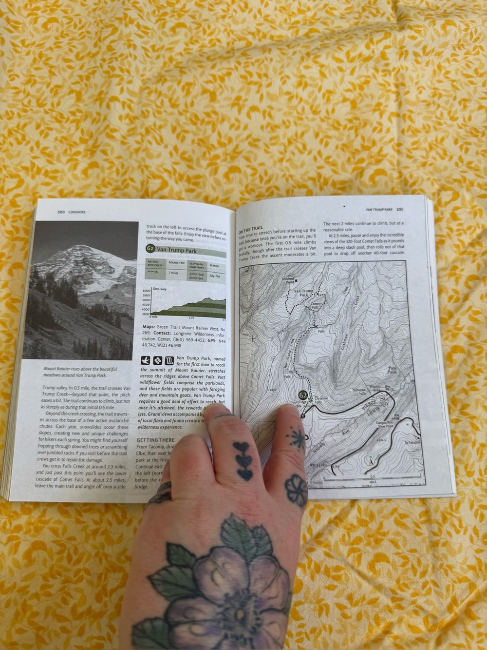 Day Hiking Guide Book - Mount Rainier, WA. National Park. Excellent Condition. - Picture 8 of 10